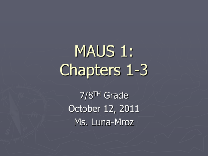 Maus questions and answers pdf