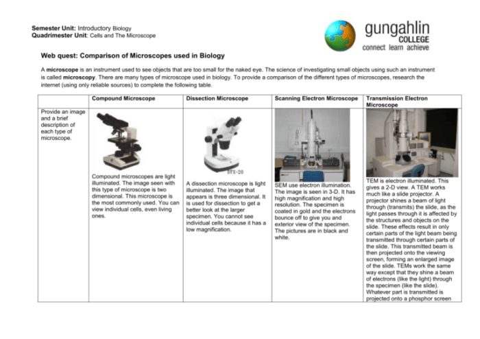 Summary chart for microscope answers