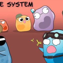 Amoeba sisters immune system worksheet