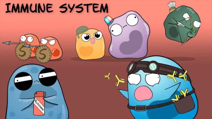 Amoeba sisters immune system worksheet