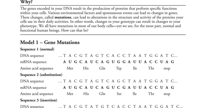 Genetic mutations pogil answer key