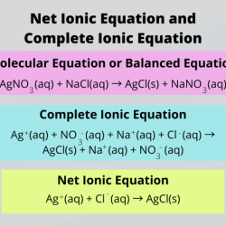 Equation ionic phases including enter aq kcl reaction refer agno solubility rules homeworklib needed ag