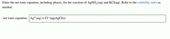 Ionic phases equation agno3 kcl