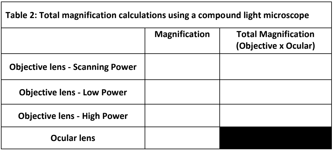 Summary chart for microscope answers