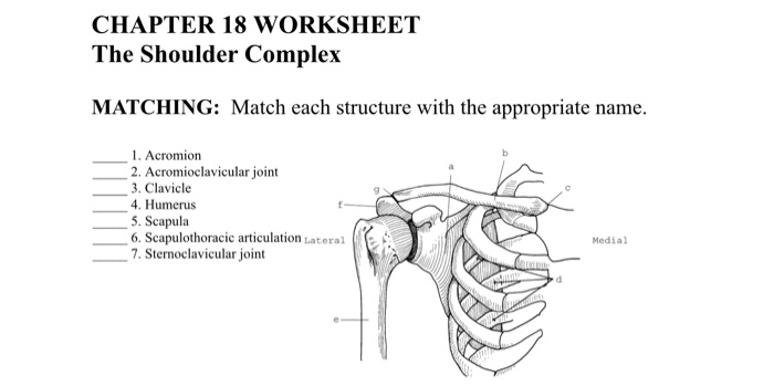 Worksheet docx