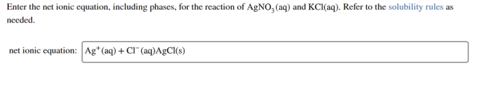 Kcl agno3 net ionic equation