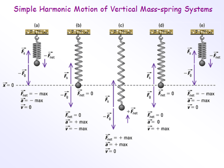 Four mass spring systems oscillate in simple harmonic motion