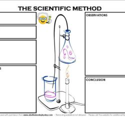 Analyzing the elements of a scientific method worksheet answers