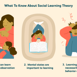 In observational learning the most effective models are those